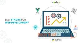 Website Design and Development services