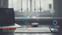 Web Design Development and SEO Optimization