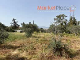 ΠΩΛΕΙΤΑΙ ΟΙΚΙΣΤΙΚΟ ΧΩΡΑΦΙ ΣΤΟ ΜΑΜΜΑΡΗ, ΛΕΥΚΩΣΙΑ