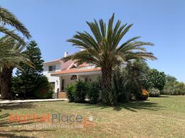 5 Bedroom House for Rent in a large plot with green, green, green