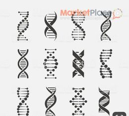 ΜΑΘΗΜΑΤΑ ΒΙΟΛΟΓΙΑΣ