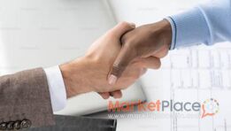 Looking for a reliable, trustworthy collaborator