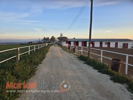 Ζητούνται Συνεργάτες για Ανάπτυξη Πολυχώρου Αναψυχής & Ιππασίας