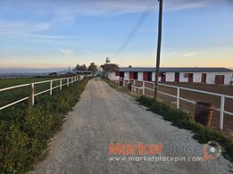 Ζητούνται Συνεργάτες για Ανάπτυξη Πολυχώρου Αναψυχής & Ιππασίας