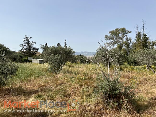 ΠΩΛΕΙΤΑΙ ΟΙΚΙΣΤΙΚΟ ΧΩΡΑΦΙ ΣΤΟ ΜΑΜΜΑΡΗ, ΛΕΥΚΩΣΙΑ - Mammari, Nicosia