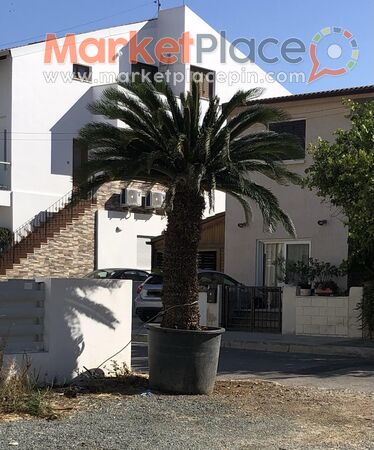 Φοινικας - Lakatamia, Nicosia