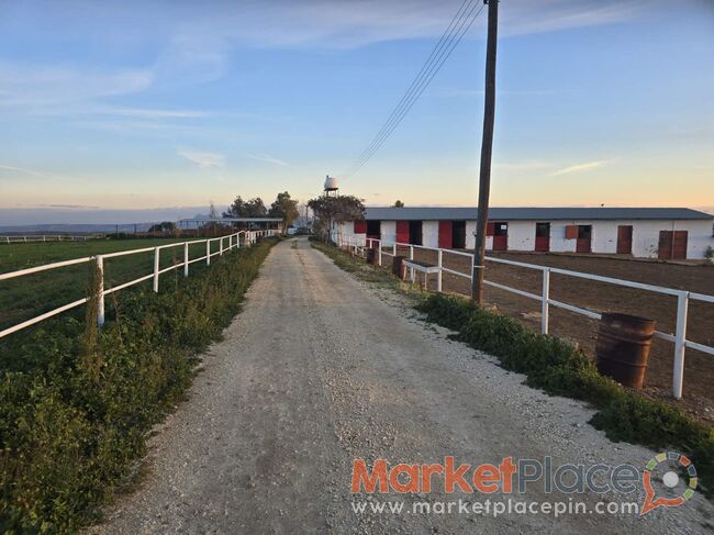 Ζητούνται Συνεργάτες για Ανάπτυξη Πολυχώρου Αναψυχής & Ιππασίας - Malounta, Nicosia